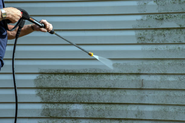 Best Deck Pressure Washing  in Lake Of The Woods, VA