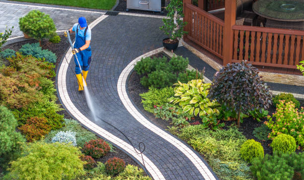 Pressure Washing Contractors in Lake Of The Woods, VA